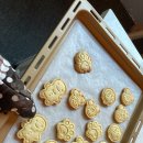 어부사시사(적) 이미지