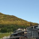 충북 보은 여행, 자연에서 힐링하고 온 나인밸리파크 (내돈내산, 핀란드 사우나 후기까지)