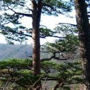 수하골(2) 이미지