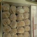 관광펜션 곰 이미지