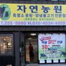 회성동255 이미지