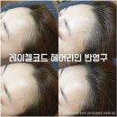 레이첼코드