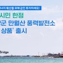 솔라브리지 이미지