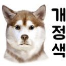 도리도리펫샵 이미지