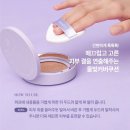 브이에디션
