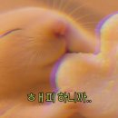 다이빙플랜