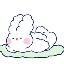 베릴키키 이미지