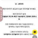 [큐모모]나르시스 브라(큰컵 드루와)