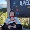 보덕동행정복지센터 이미지