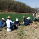 도고면 행정복지센터 이미지