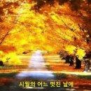 김동규 - 10월의 어느 멋진 날에 이미지