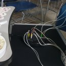 얌샘김밥점송우리 | [일상] 여기저기 분식 맛집, 뇌파 실험 참가, 대학원 종합시험 합격, 감사한 인연, 김장, 연말준비