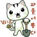 나라의 보배 이미지