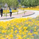 낙동강체육공원 축구장 화장실 이미지