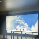 서울 전시 후기, &lt;우연히 웨스 앤더슨 2&gt; 그라운드시소 센트럴