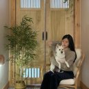 아쯔아쯔료칸 이미지