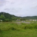 고향바베큐&국밥