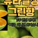 과일카페세나