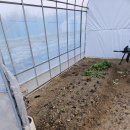 토지농장 이미지