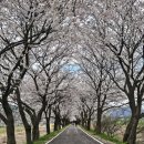 남선사료 이미지