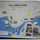 통영터널로가로수 이미지