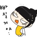 성지스포렉스 이미지