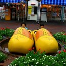 하마하우스 이미지