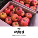 오일장농원 이미지