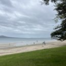 닥터마틴수란 | [뉴질랜드 워홀+3] 🇳🇿 오클랜드 시티🗼그새 지겹다!🤨 타카푸나 비치🏖️에서 ☕️부란치🍳 먹고, 도서관...
