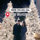 부산 트리 마을 대형 빌라쥬드 아난티 가격 시간 주차 꿀팁