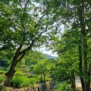 마곡사 가는길 민박 | 공주 마곡사 - 주차 공주계곡 세계문화유산 공주가족여행