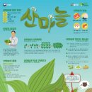 주간 특산물] 명이나물로 더 유명하죠… 울릉도 산마늘 이미지