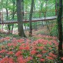 함평신흥해수찜 이미지