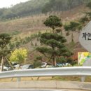 장성군 산림조합