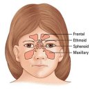싸이너스 이미지