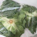 소소한 비빔밥 | 봄동비빔밥 만들기 집밥 레시피｜요즘 핫한 쿠팡 봄동으로 직접 만들어 먹어본 후기