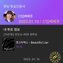 기꺼이 투표해 Beautiful Liar / 신입베베쥬 이미지