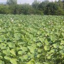 덕유산휴양수련원 이미지