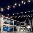 뽑기하우스 | 담양 독채펜션 슈트라하우스 C동 101호 후기