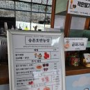 행운농장 | 남양주체험] 송촌호반 딸기체험농장: 정말 맛있는 딸기와 뷰가 멋진 딸기체험/ 내돈내산