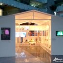 카이스트 이미지