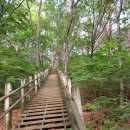 진밭골산림욕장 이미지