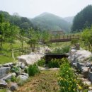 좌구산 캠핑공원 이미지