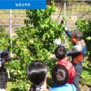 산모랭이 풀내음 이미지