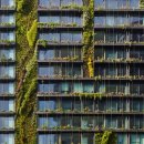 Grand hanok 이미지