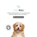 플러스펫 이미지