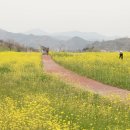 다압면 섬진강 매화마을 인근 이미지