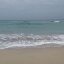 골든카클리닉 이미지