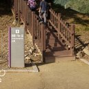 단종역사관(휴관) 이미지