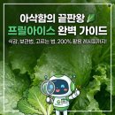 아삭함의 신세계! 프릴아이스 고르는 법부터 활용법, 효능까지 완벽 정리 - 해피팜협동조합